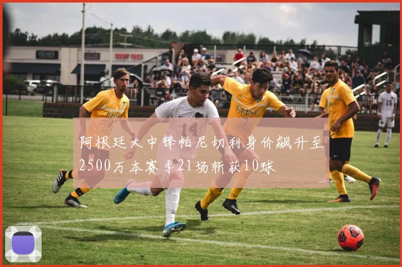 阿根廷大中锋帕尼切利身价飙升至2500万本赛季21场斩获10球