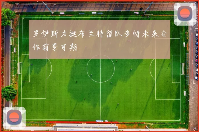 罗伊斯力挺布兰特留队多特未来合作前景可期
