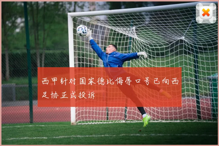 西甲针对国家德比侮辱口号已向西足协正式投诉