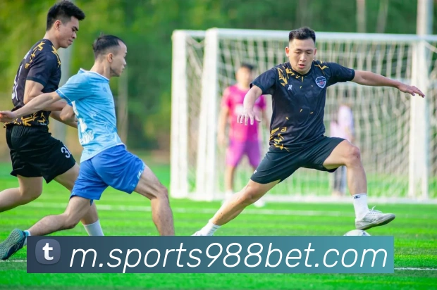 988体育平台生态图